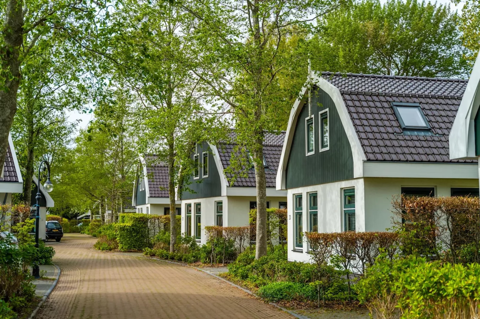 Resort Koningshof 2-Parkfaciliteiten