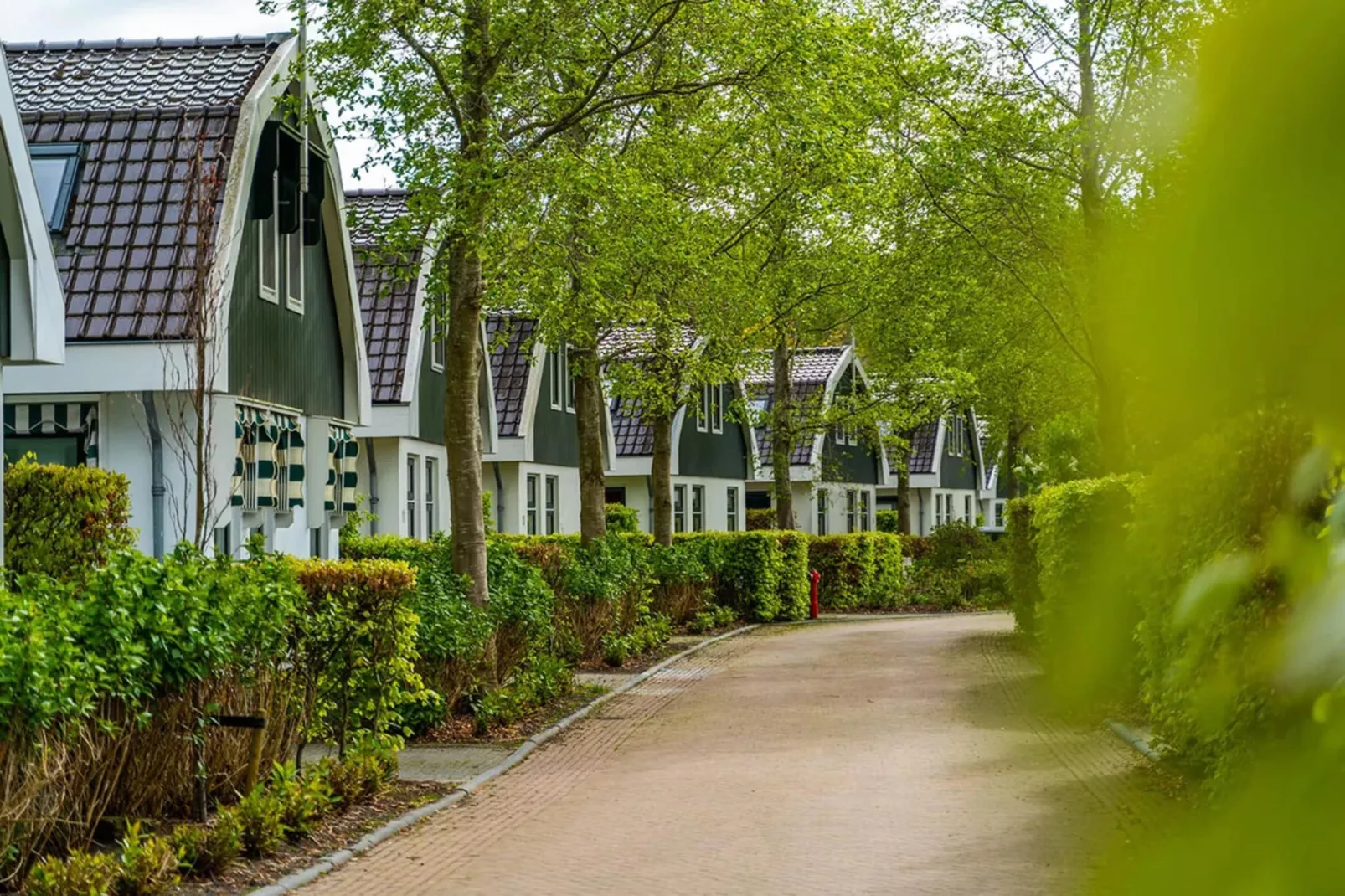 Resort Koningshof 2-Parkfaciliteiten