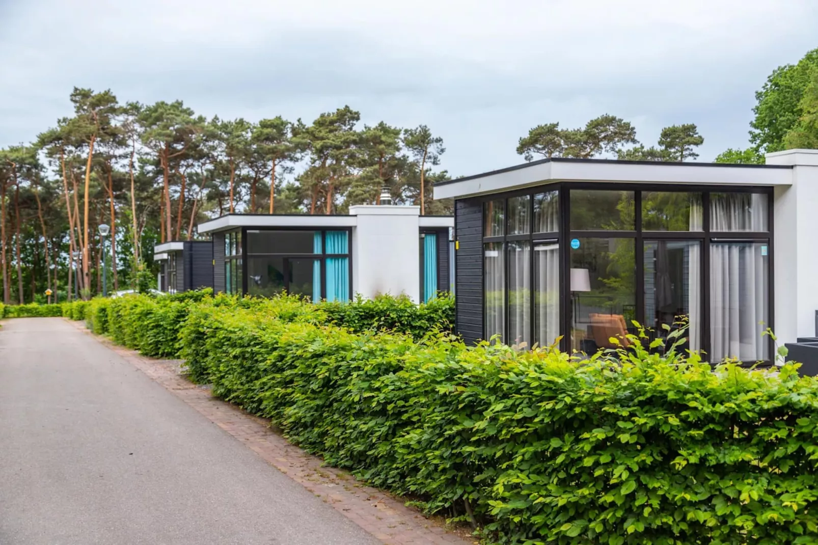 Resort Maasduinen 11-Uitzicht zomer