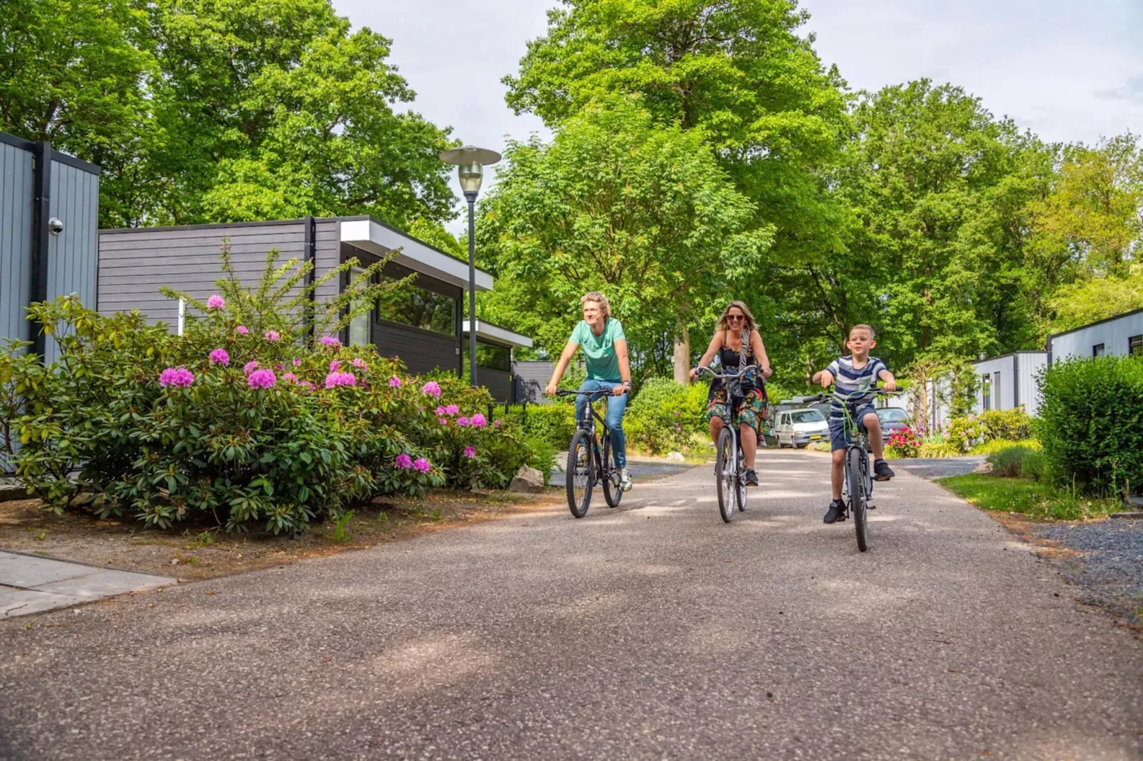 Resort Maasduinen 11-Gebieden zomer 5km