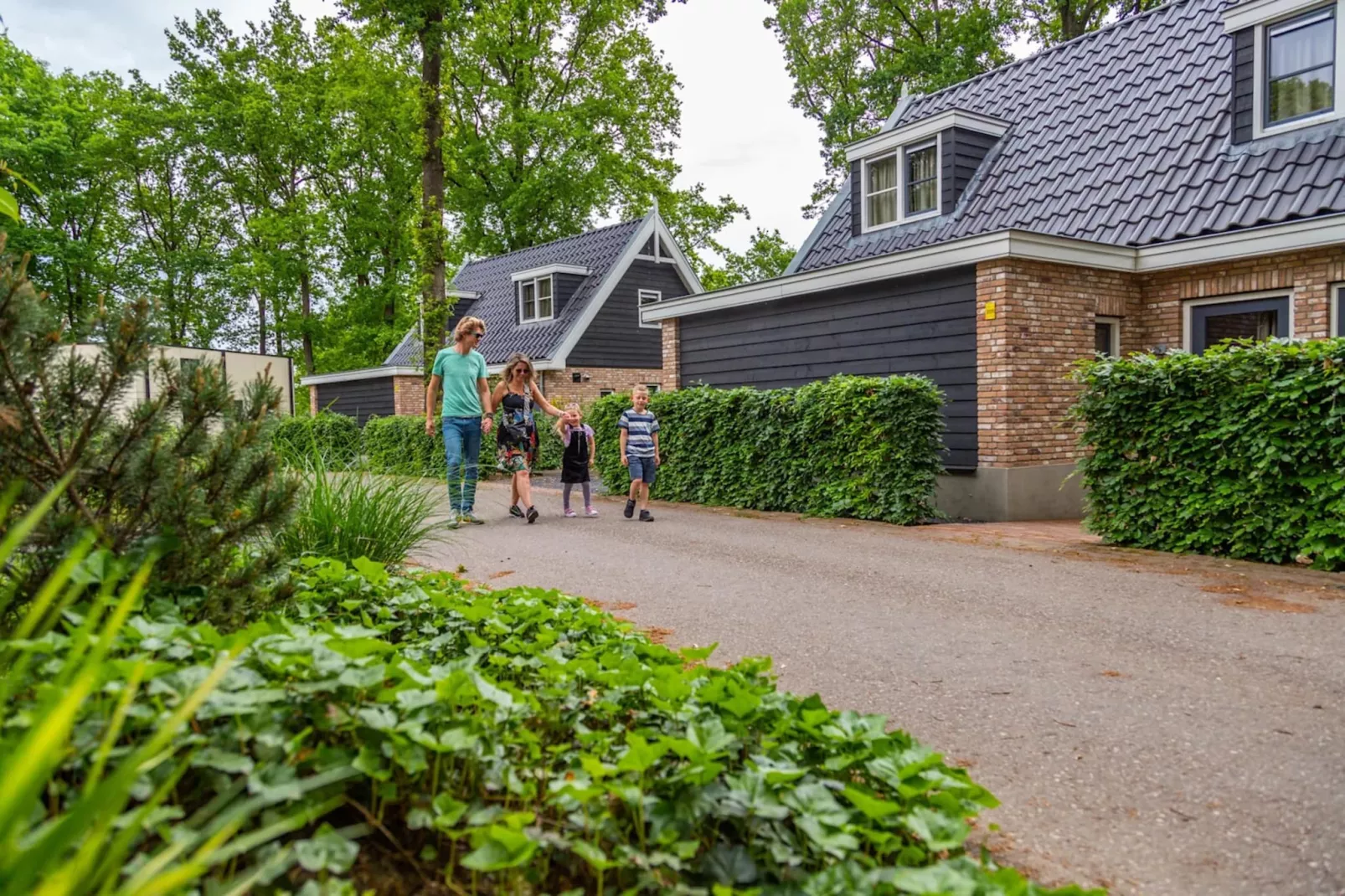 Resort Maasduinen 12-Gebieden zomer 1km