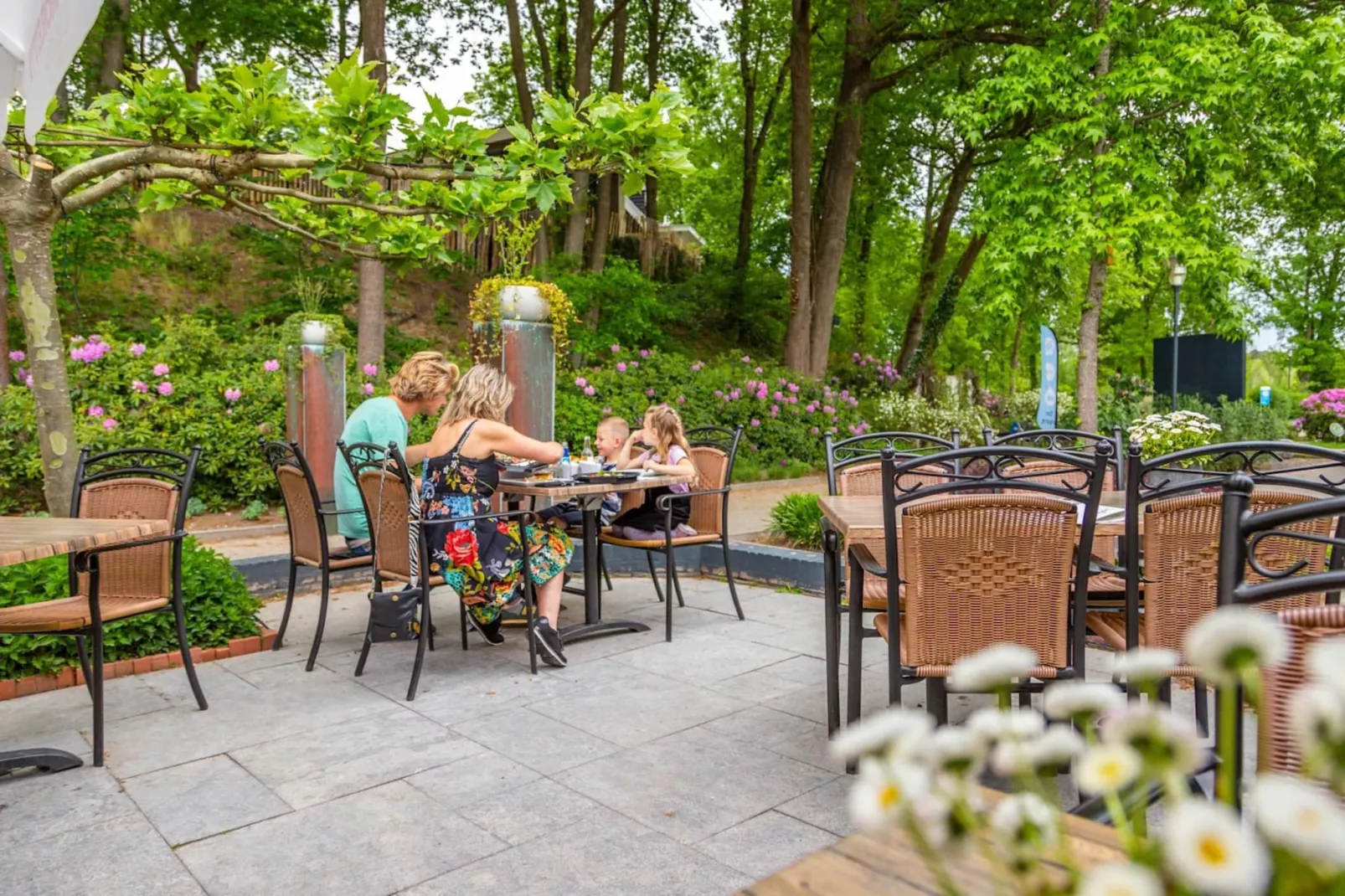 Resort Maasduinen 13-Parkfaciliteiten