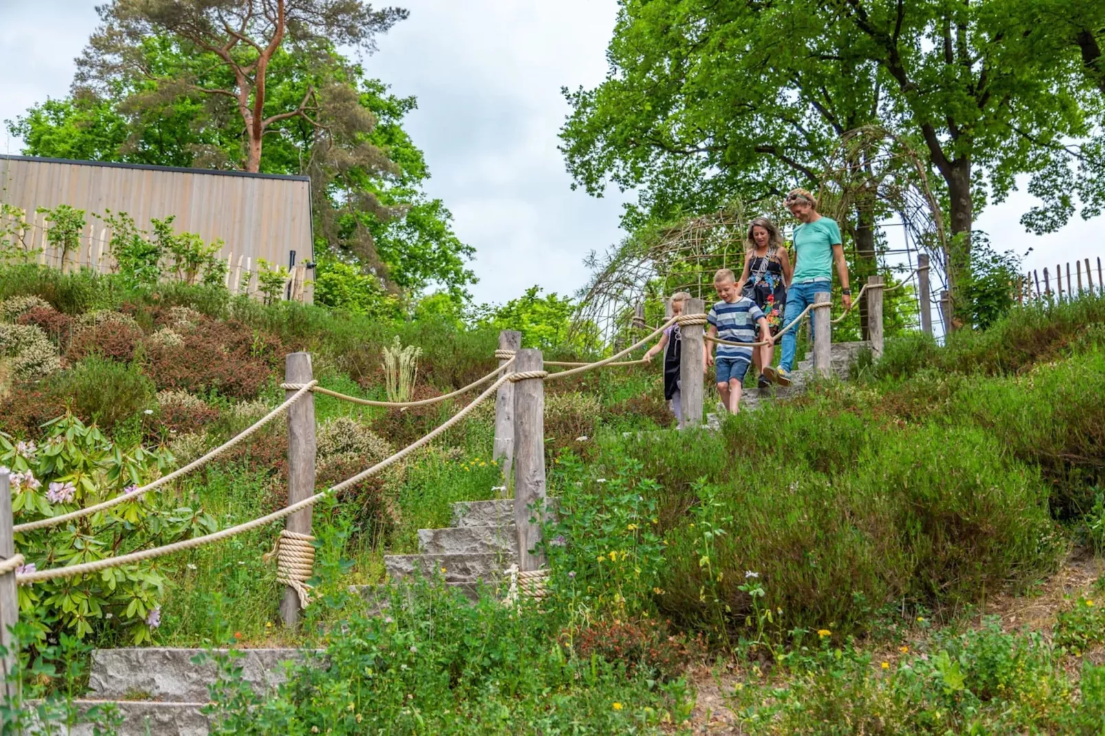 Resort Maasduinen 13-Gebieden zomer 1km
