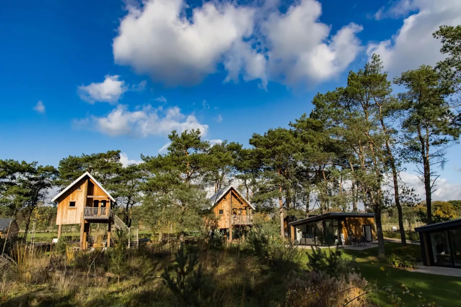 Resort De Wije Werelt 15-Parkfaciliteiten