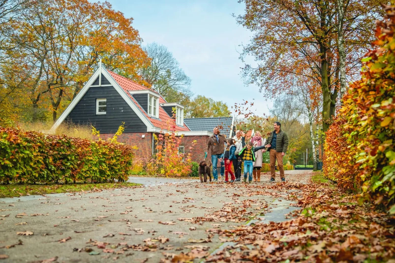 Resort Hooge Veluwe 3-Parkfaciliteiten
