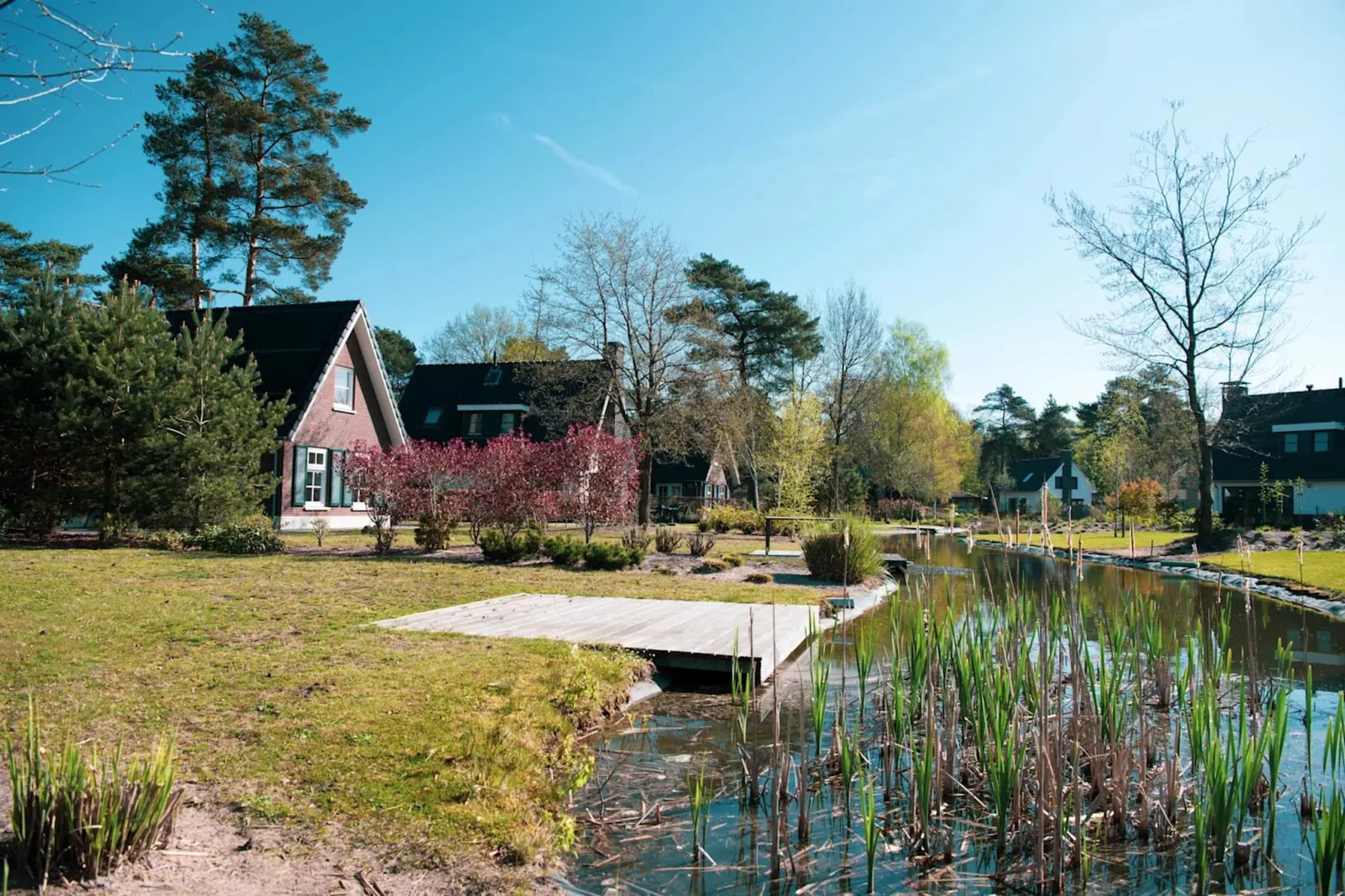Resort De Achterhoek-Gebieden zomer 1km