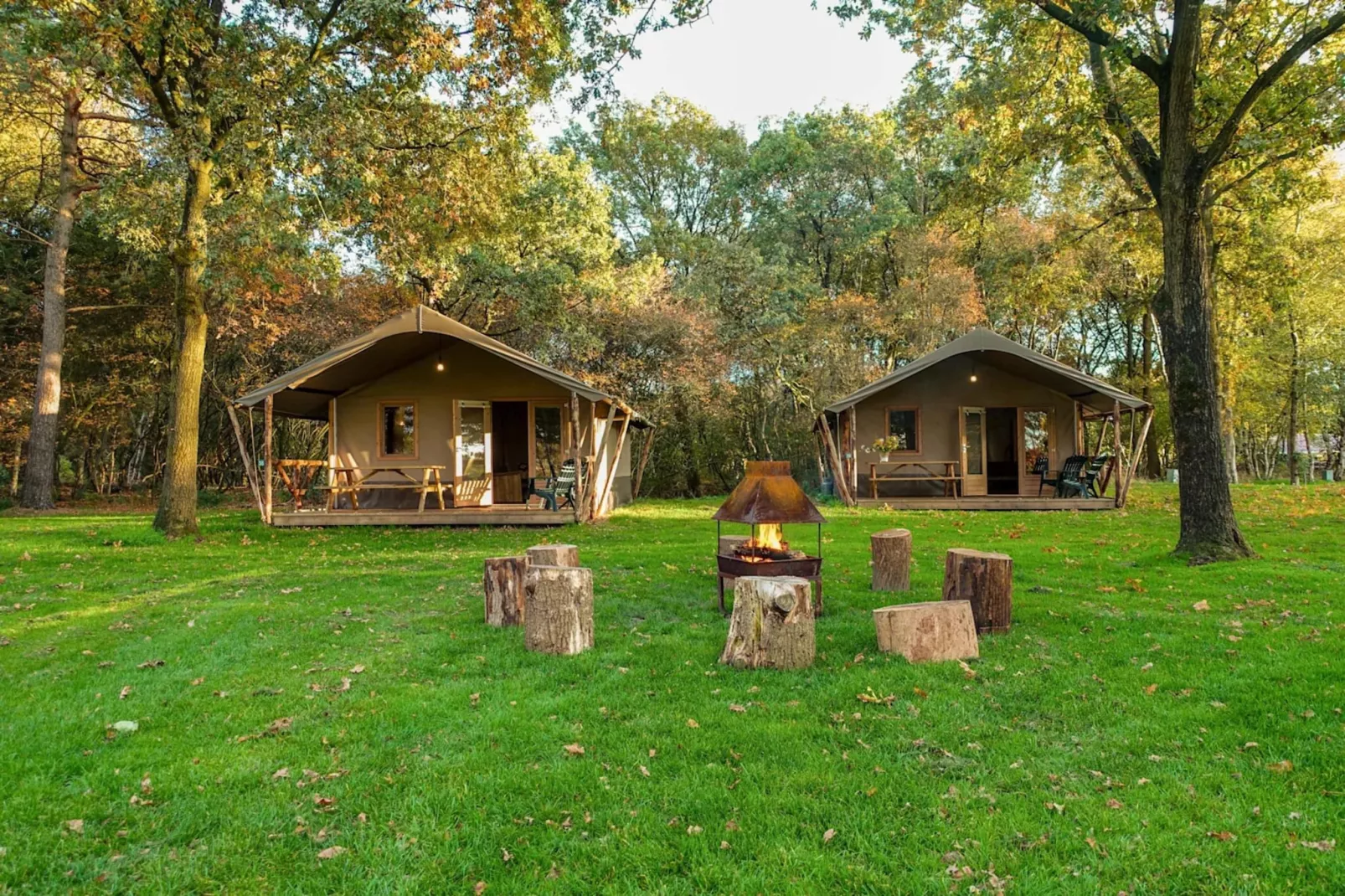 Resort Ruinen 8-Buitenkant zomer
