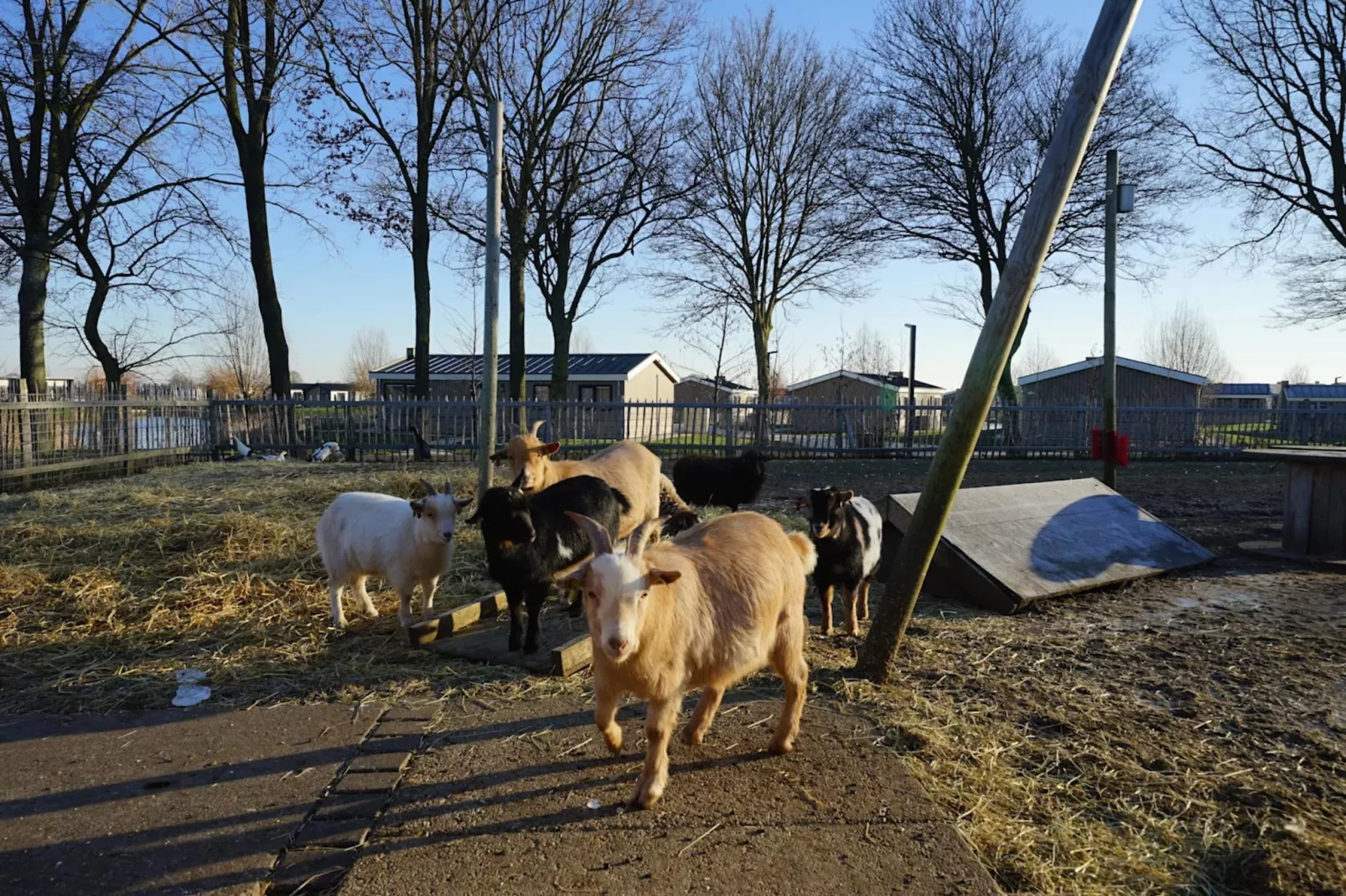 Resort De IJssel Eilanden 7-Parkfaciliteiten