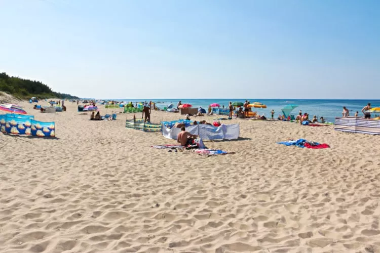 Domki wakacyjne dla 7 osób Mielenko-Gebieden zomer 1km