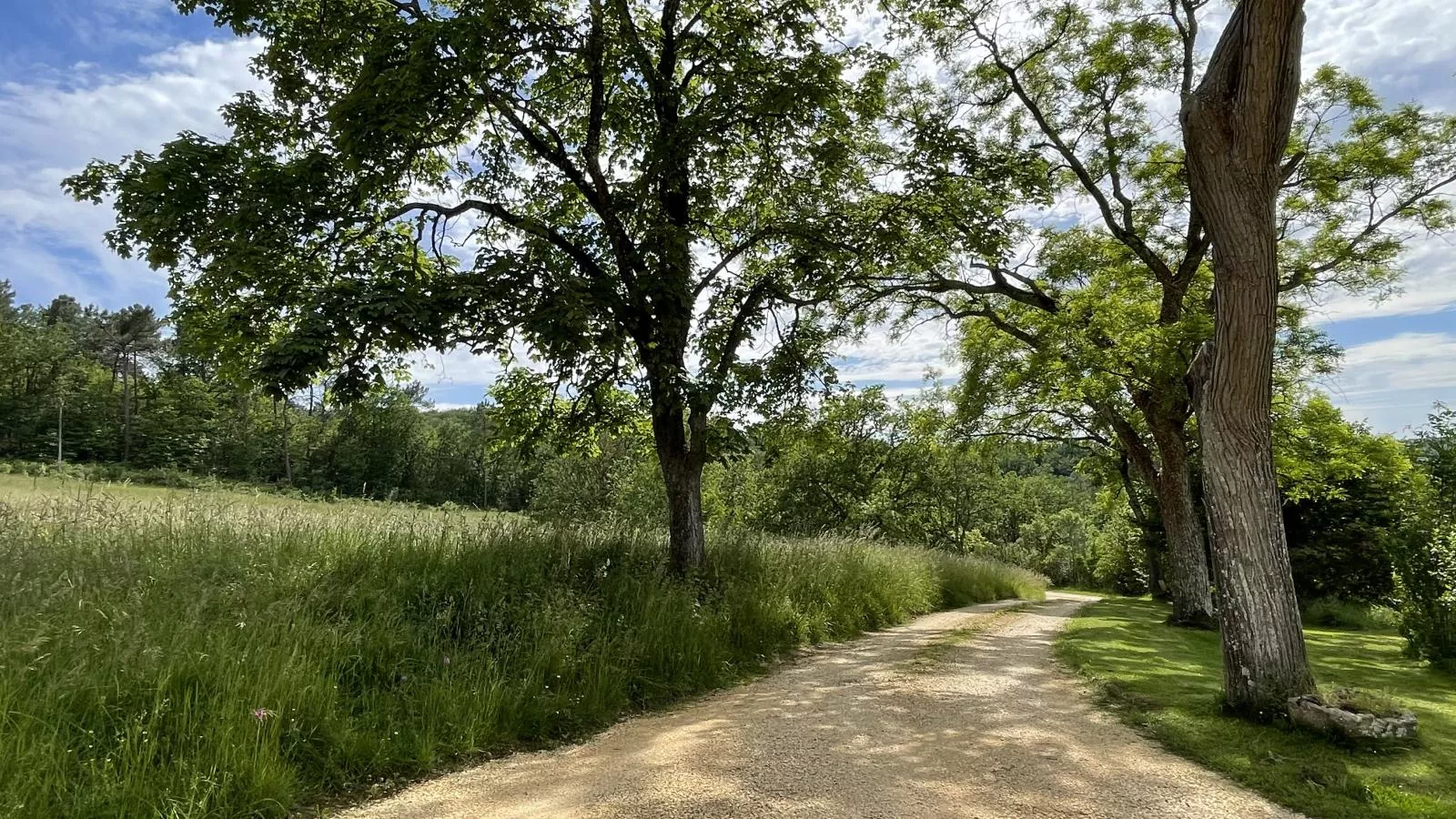Grande gite Saint Martin le Redon-Tuinen zomer