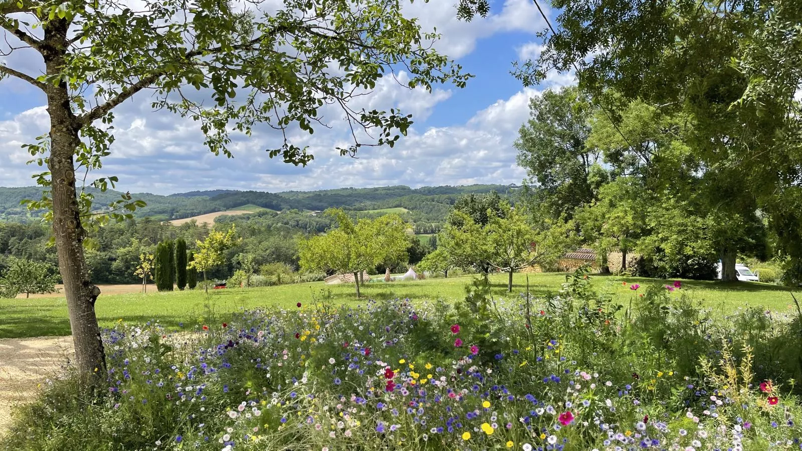 Grande gite Saint Martin le Redon-Uitzicht zomer