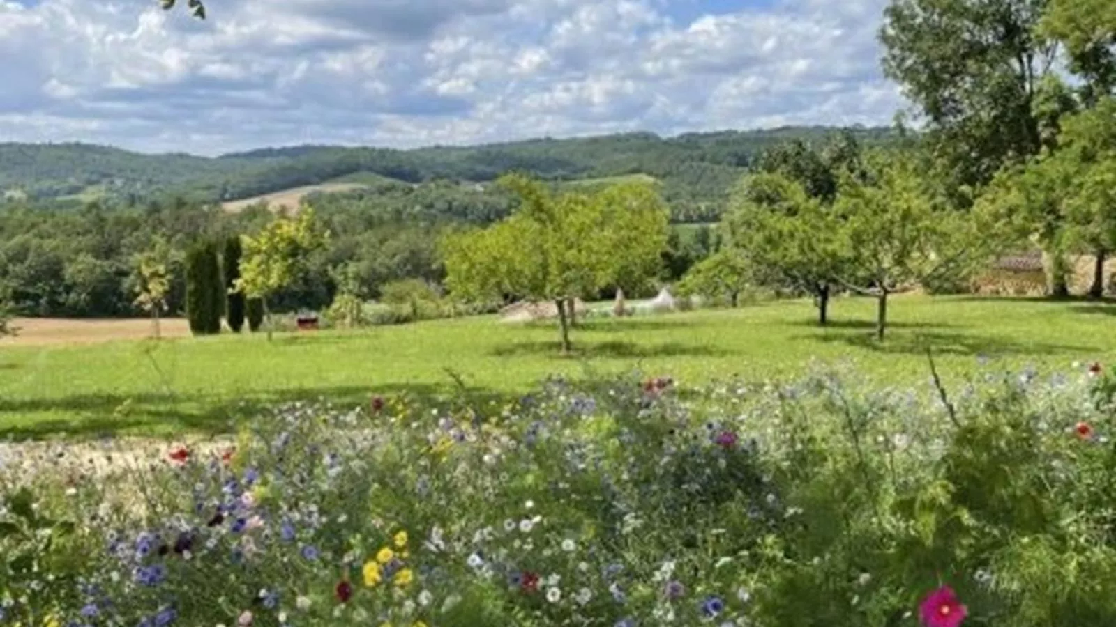 Grande gite Saint Martin le Redon-Uitzicht zomer