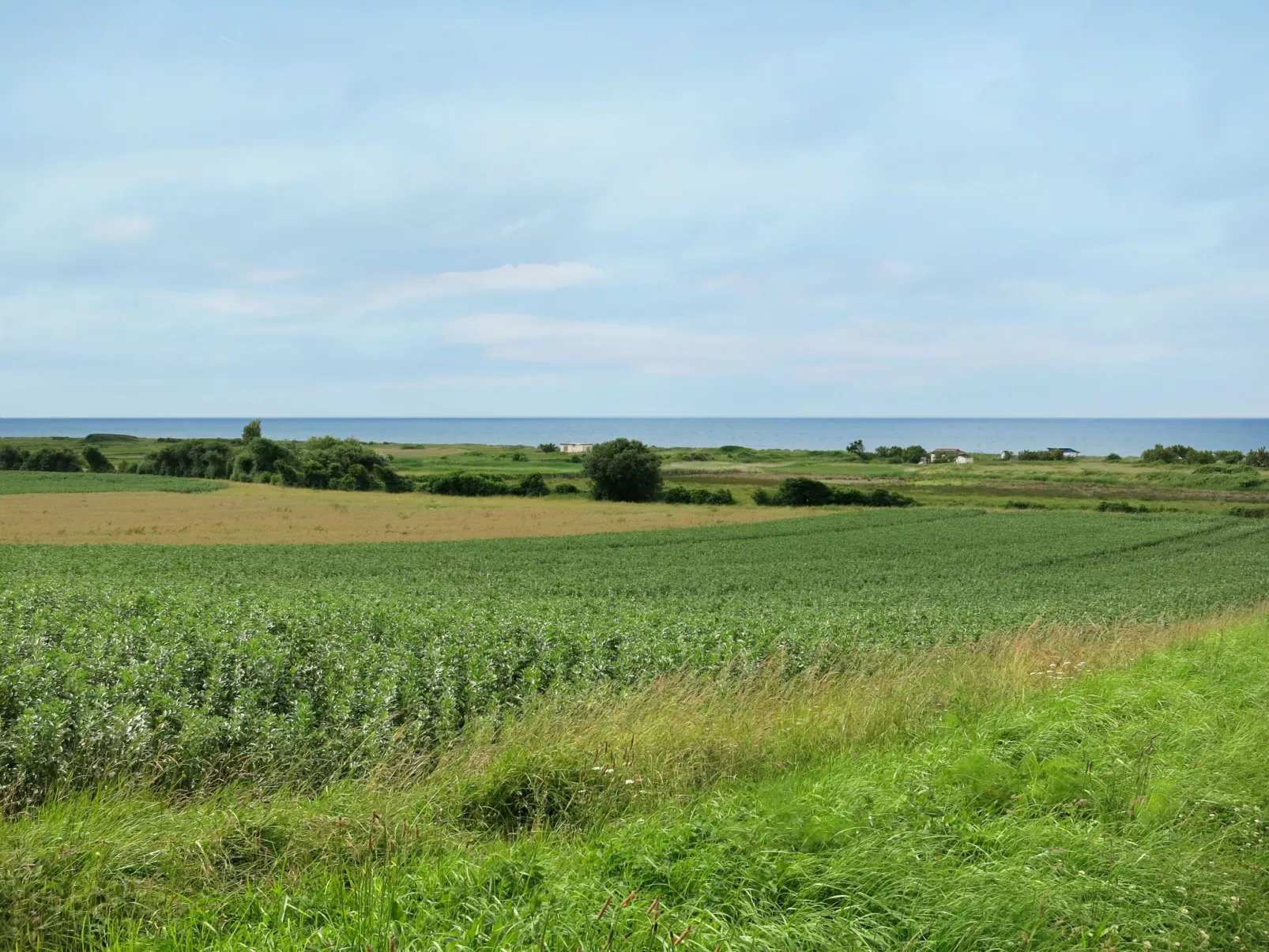 La maison du phare-Omgeving