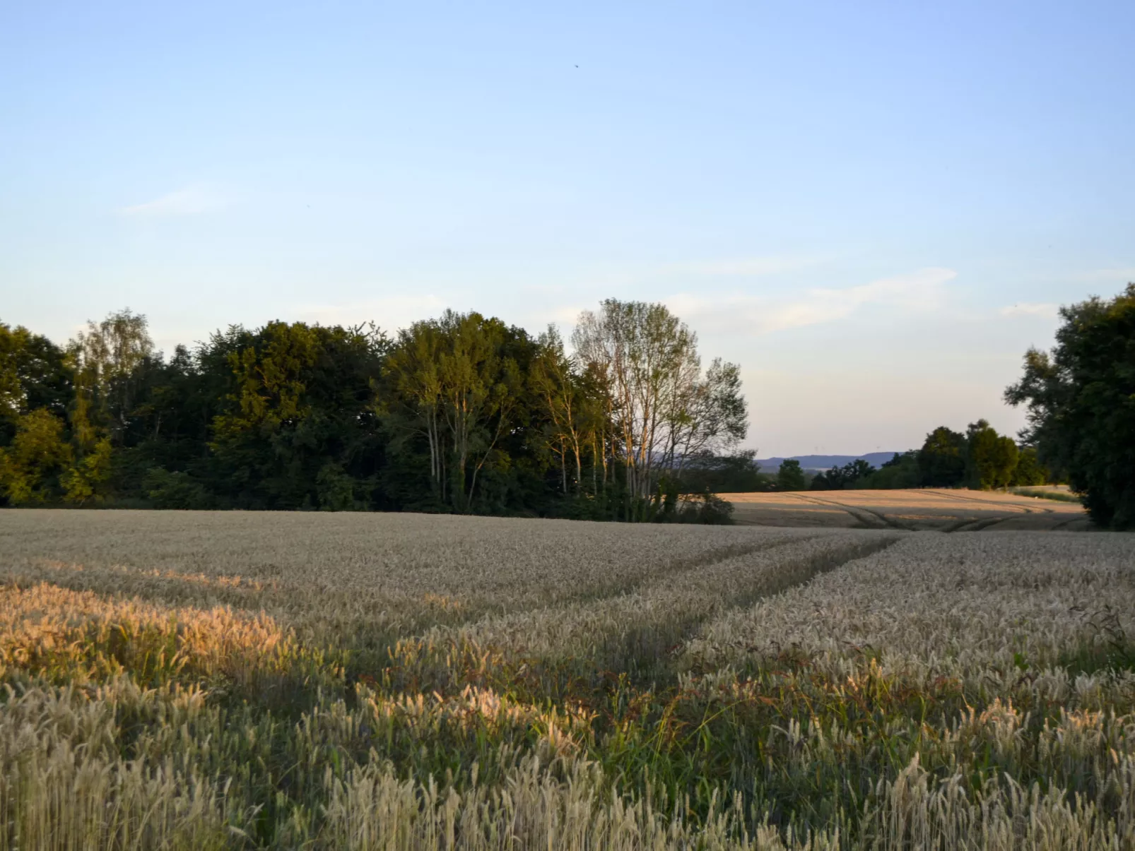 Am Rotenberg-Binnen