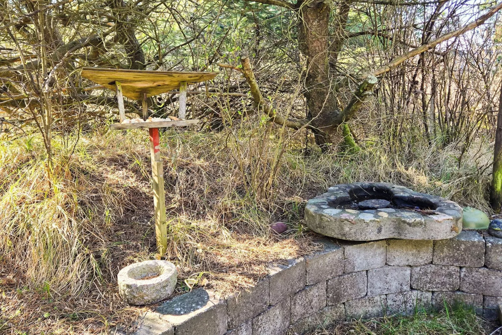 6 Personen vakantie huis in Thisted-Buitenlucht