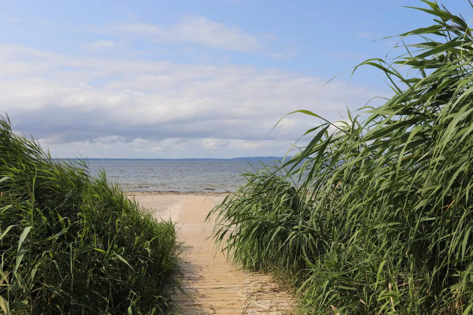 4 sterren vakantie huis in SKÅNE/VEJBYSTRAND-Niet-getagd