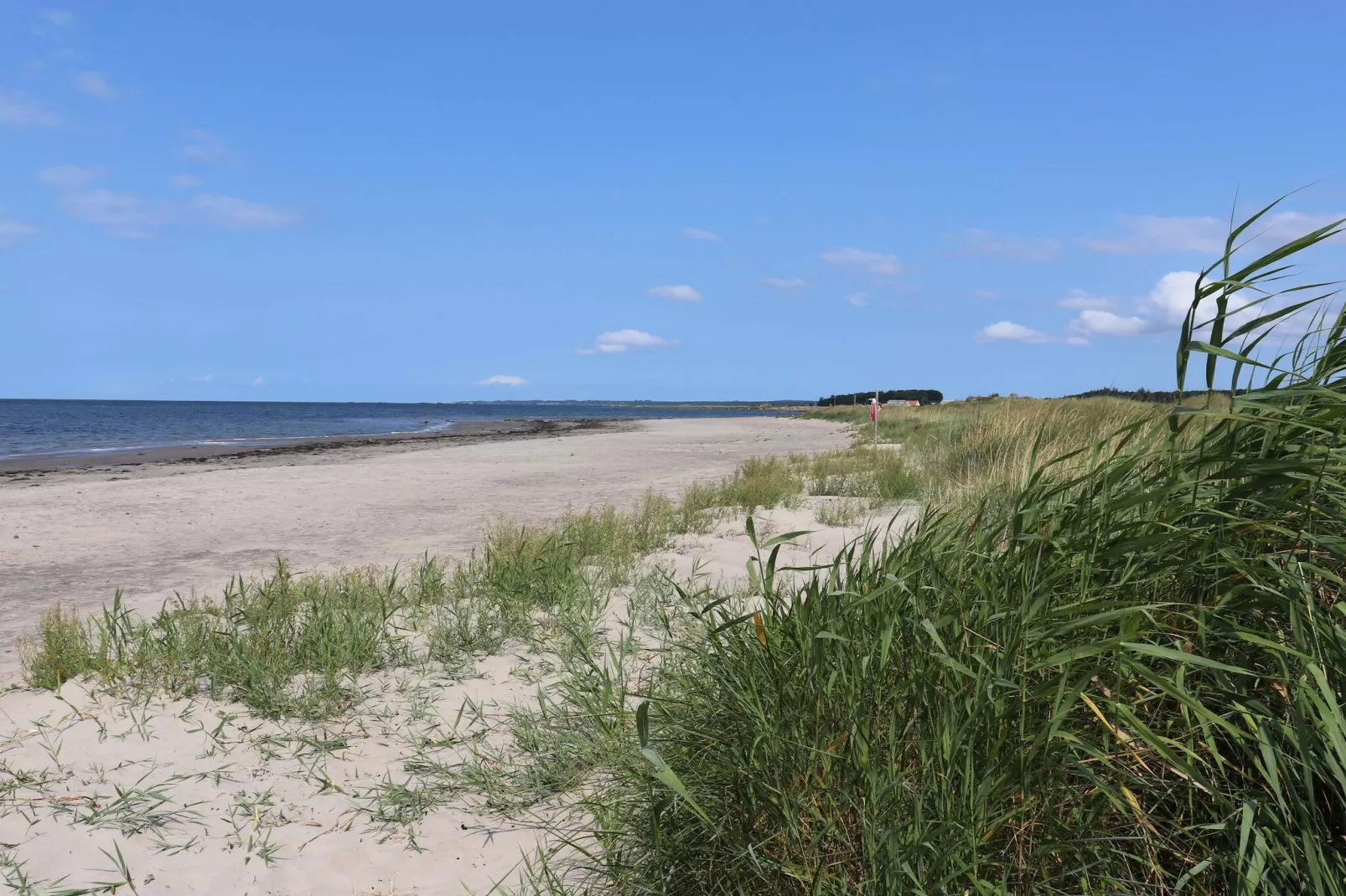 4 sterren vakantie huis in SKÅNE/VEJBYSTRAND-Niet-getagd