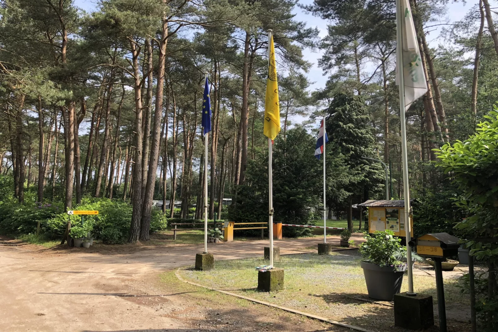 Specht-Gebieden zomer 5km