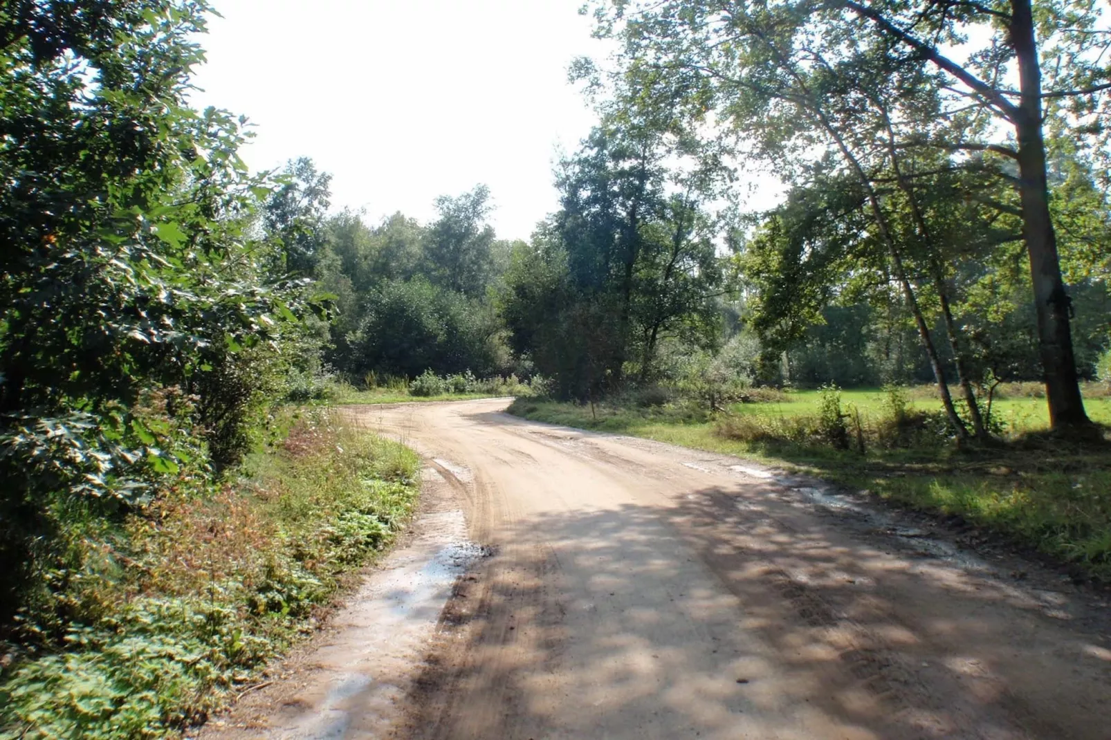 Specht-Gebieden zomer 5km