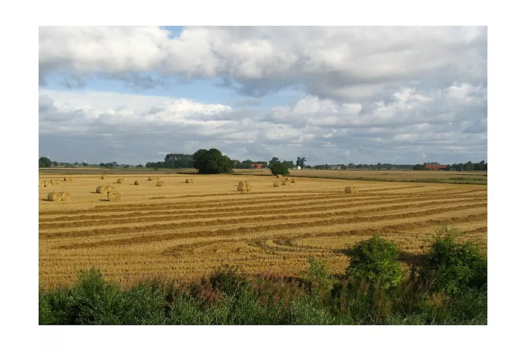 296614-Niet-getagd