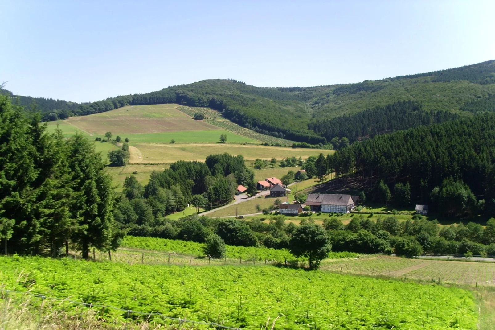 Murmeltier-Gebieden zomer 1km