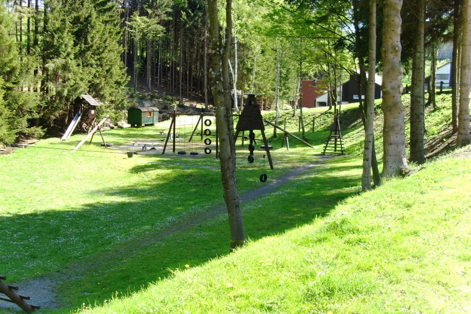 Murmeltier-Gebieden zomer 1km