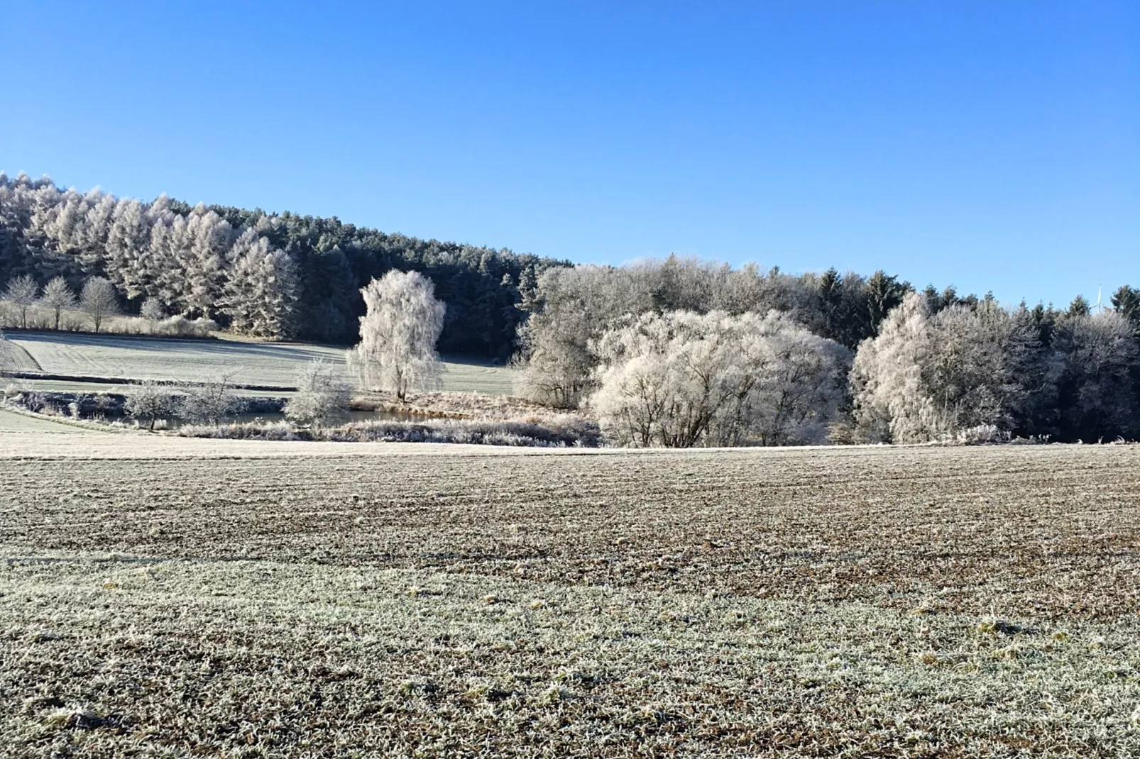 Has'n Res-Gebied winter 1km