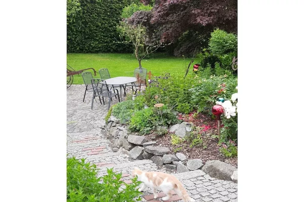 297415-Niet-getagd