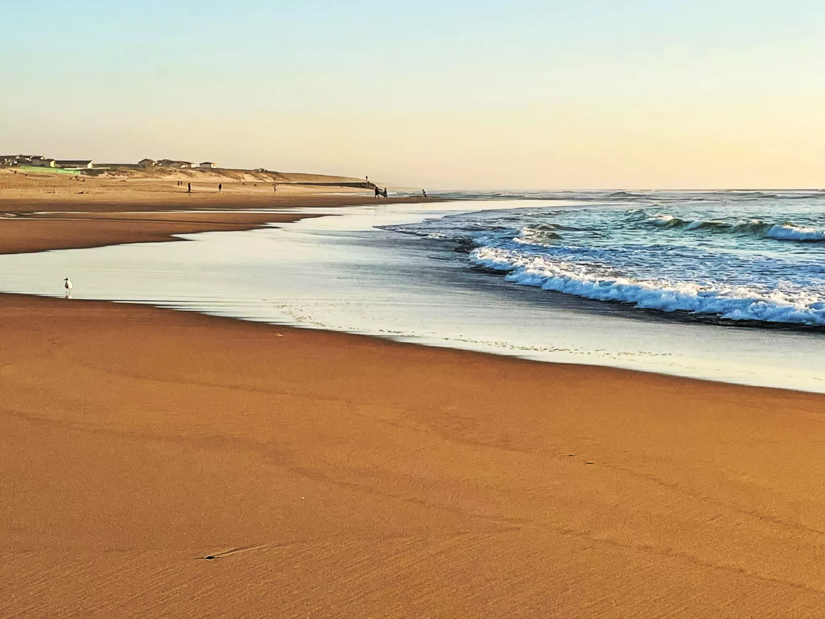 La Dune des ailes-Omgeving