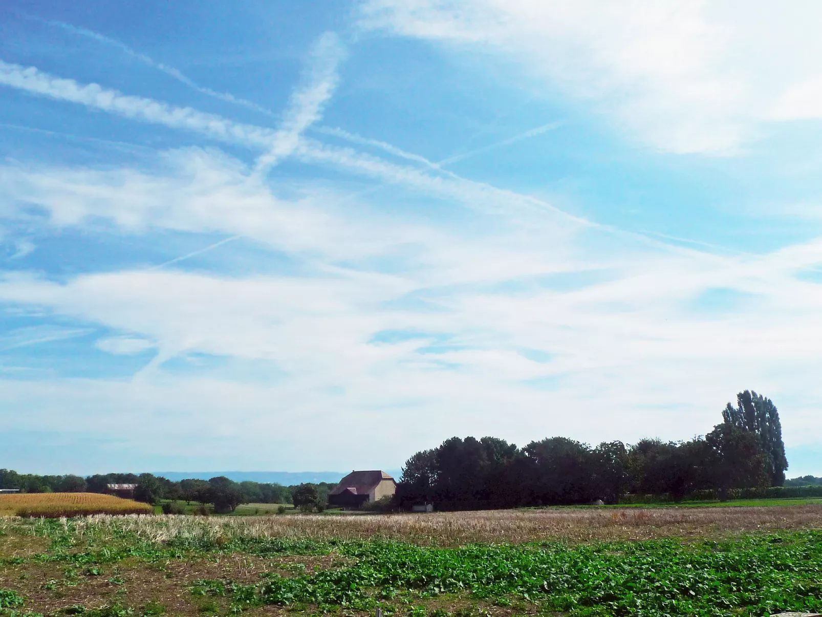 Route de Coinsin-Buiten