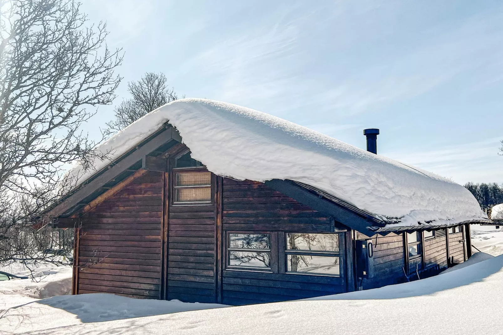 4 sterren vakantie huis in Ål-Buitenlucht
