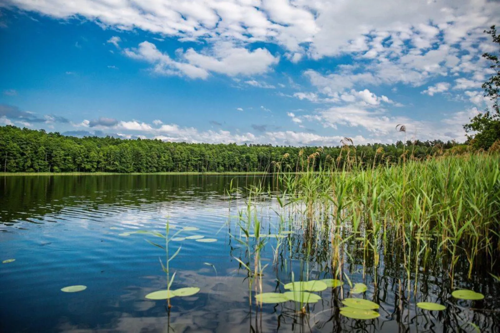 Dom nad jeziorem Klępnica-Gebieden zomer 5km