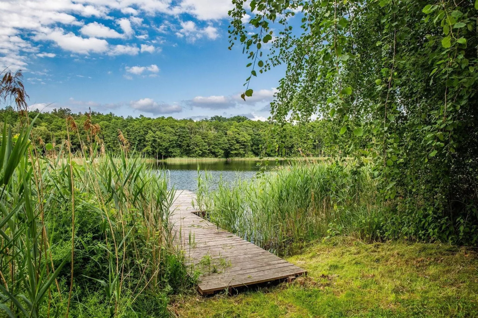 Dom nad jeziorem Klępnica-Gebieden zomer 5km