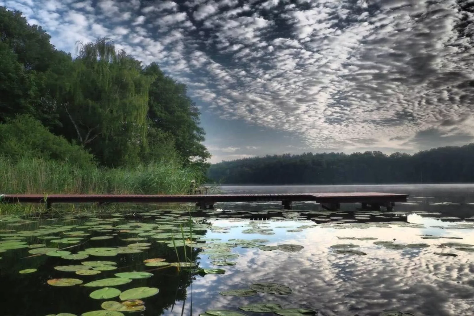 Dom nad jeziorem Klępnica-Gebieden zomer 5km