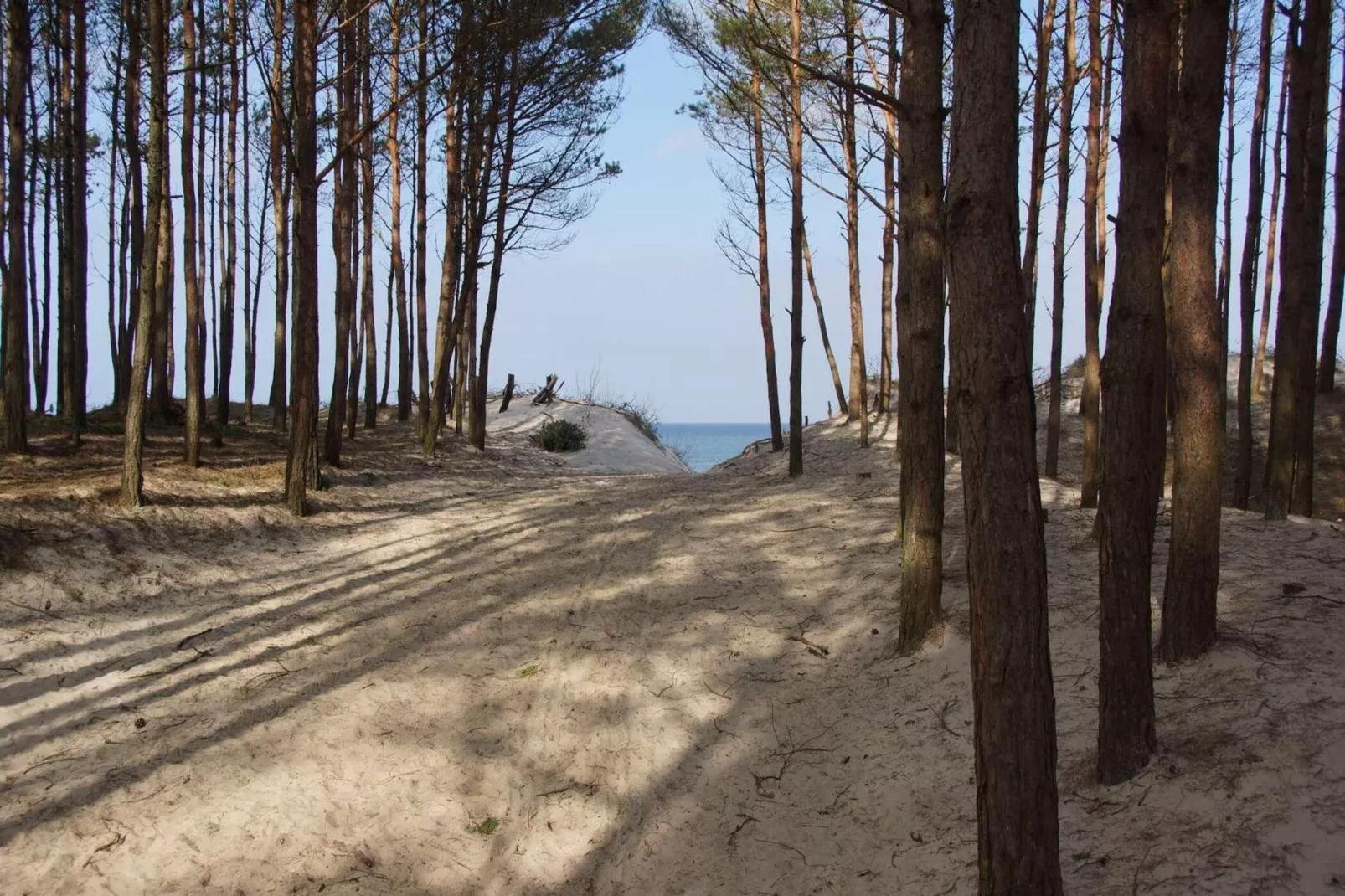 Domki wakacyjne dla 4 osób Mielenko-Gebieden zomer 1km
