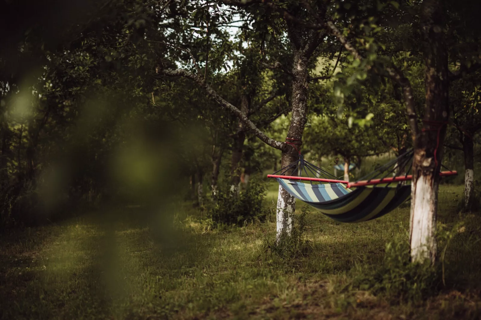 Apartament Żółty Gronowo-Tuinen zomer