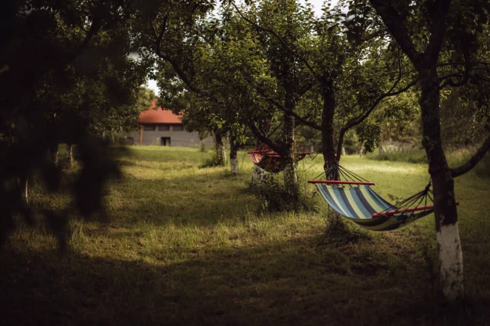 Apartament Żółty Gronowo-Tuinen zomer