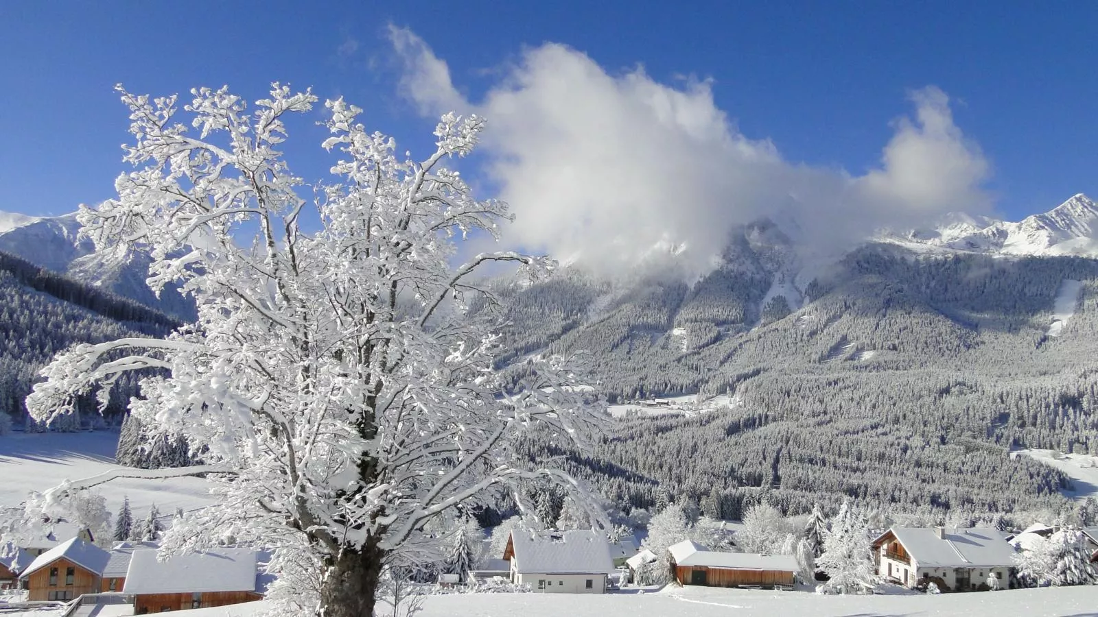 Die Bergliebe-Uitzicht winter