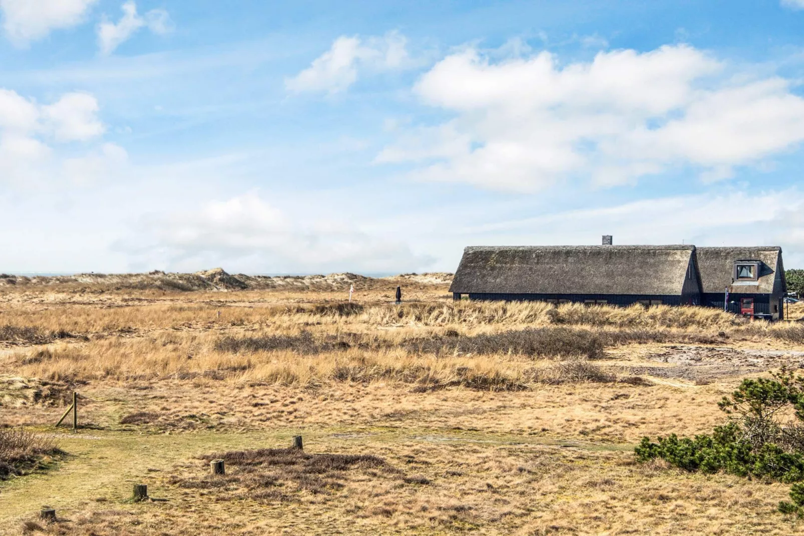 10 persoons vakantie huis in Blåvand-Waterzicht