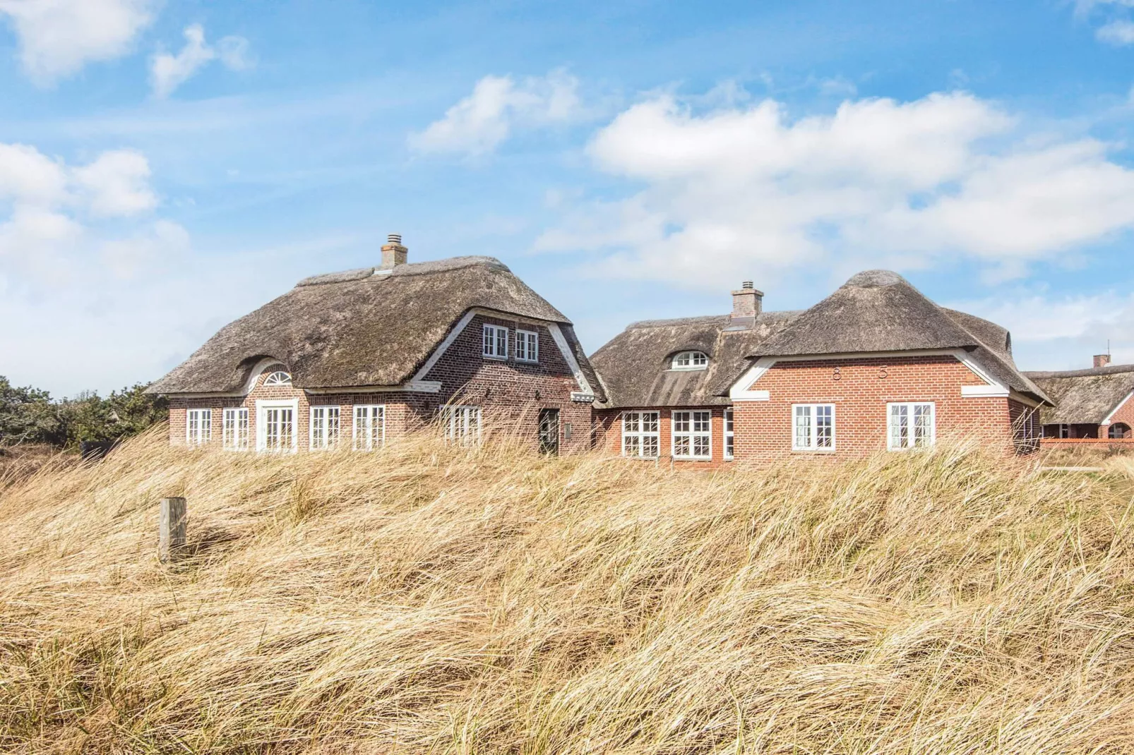 10 persoons vakantie huis in Blåvand-Uitzicht