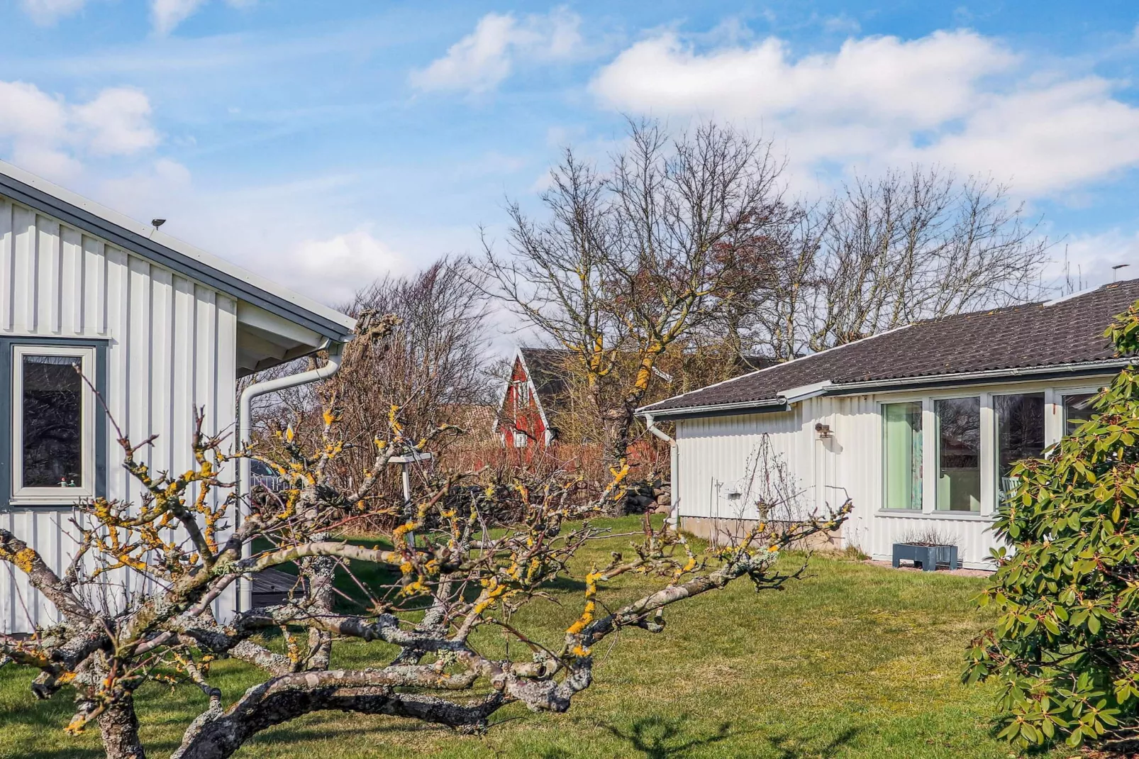 4 sterren vakantie huis in SKÅNE/VEJBYSTRAND-Buitenlucht
