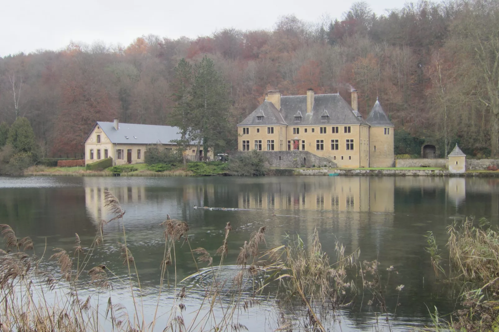 Le relais d'Orval-Gebieden zomer 5km