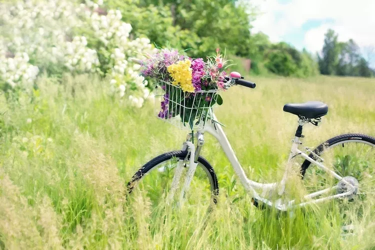 Domek wakacyjny PREMIUM dla 6 osób Sarbinowo-Gebieden zomer 1km