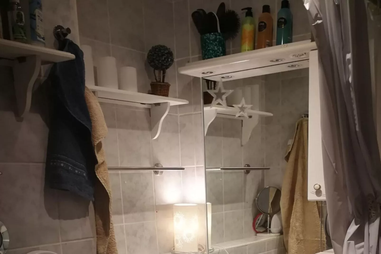 263834-Badkamer
