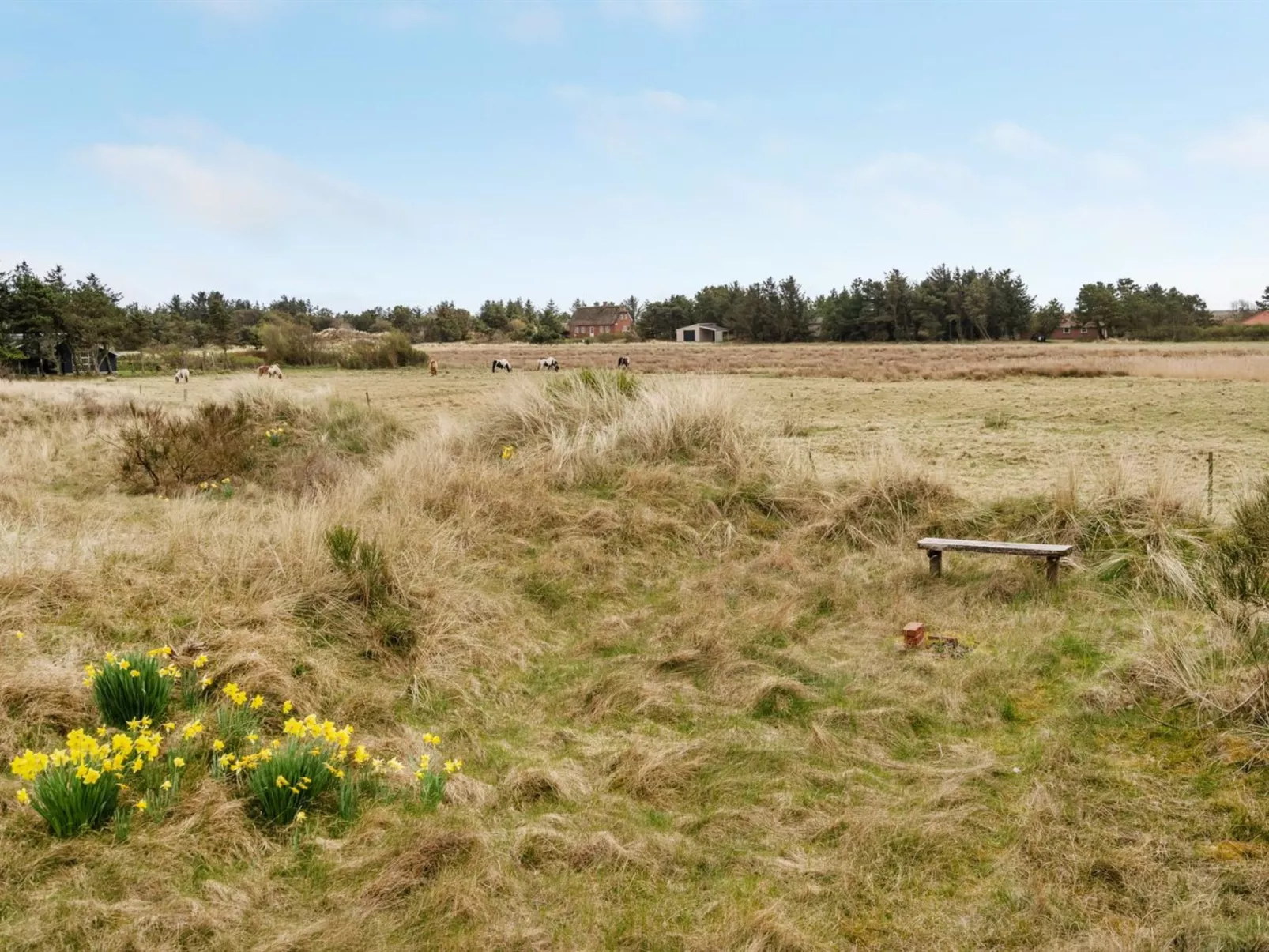 "Thorgisl" - 1.4km from the sea-Buiten