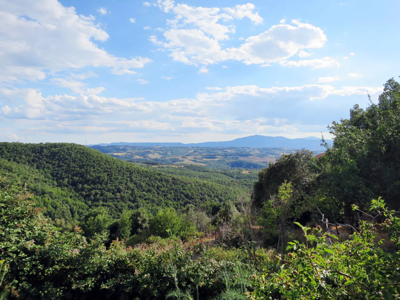 Paradiso Selvaggio-Buiten