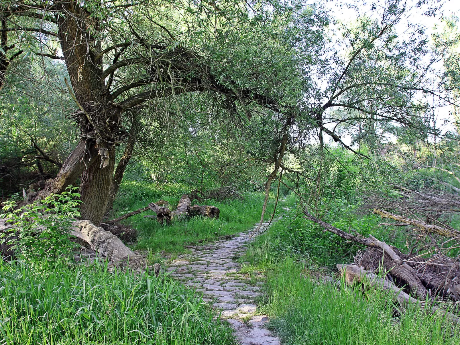 Romy-Buiten