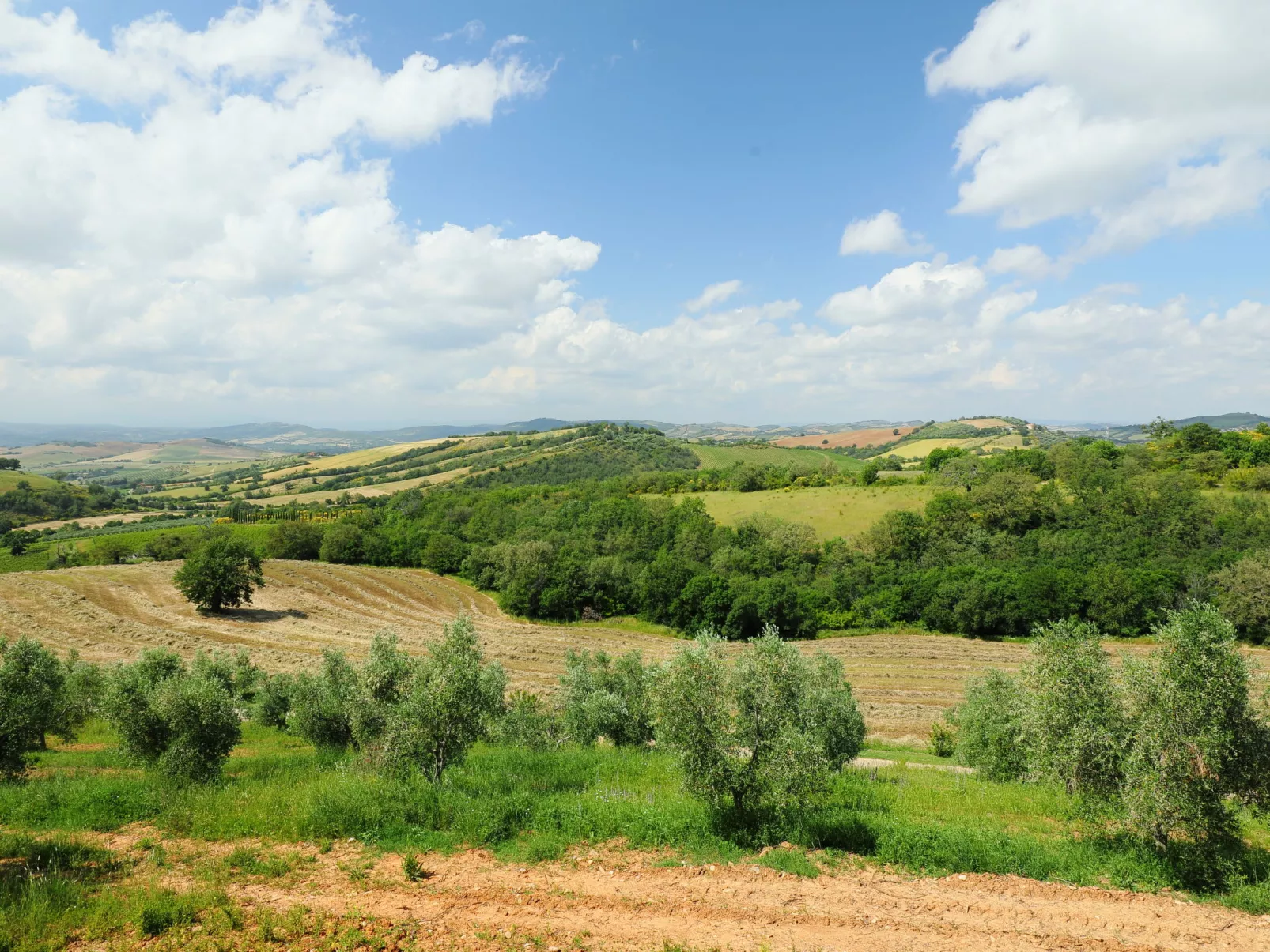 Casa dell'Orto-Buiten