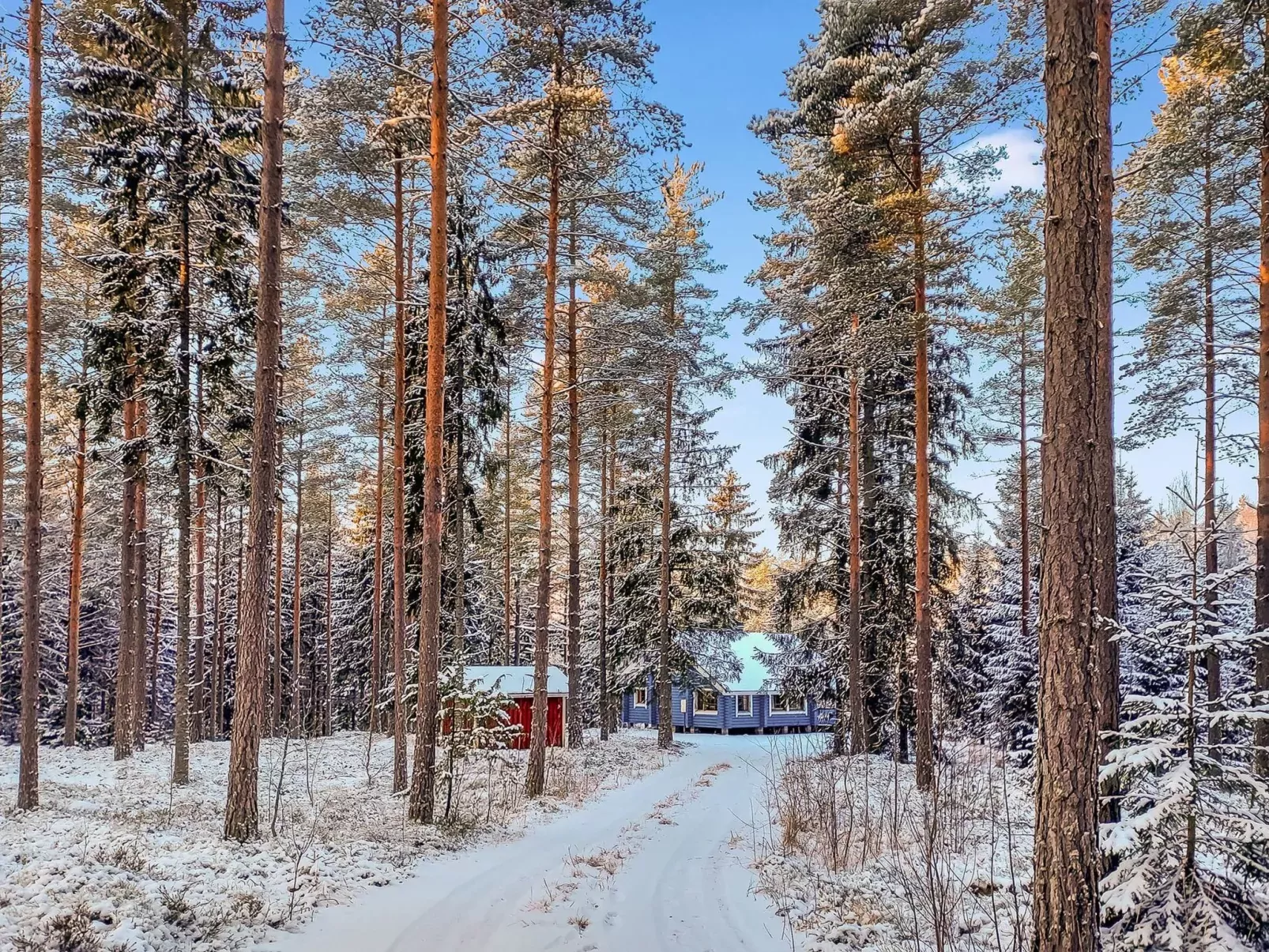 Päivärinne-Buiten