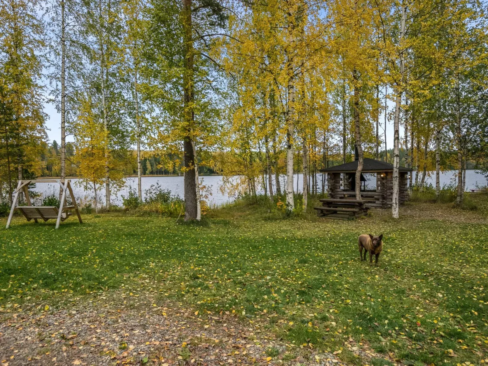 Talasniemi-Buiten